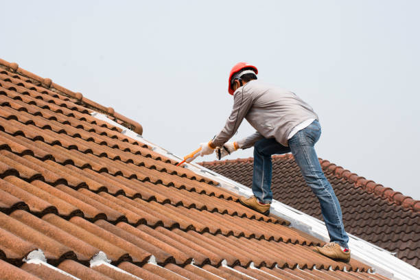 Best Sheet Metal Roofing  in Bon Air, VA